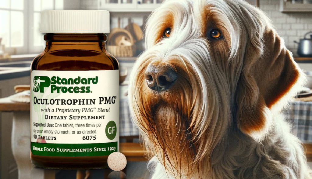 Oculotrophin PMG® by Standard Process for Dogs: Veterinary Advice on Eye Health