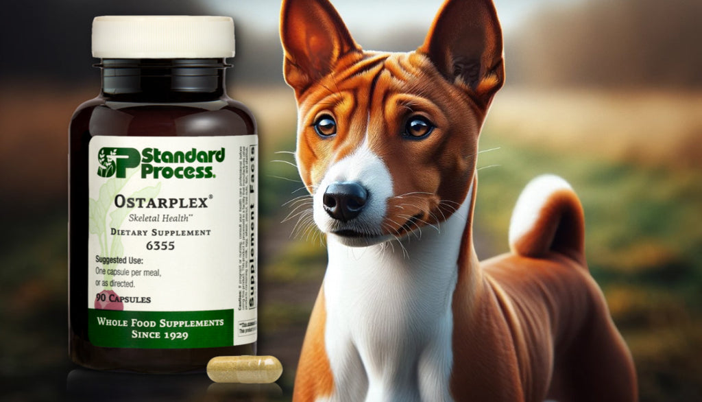 Ostarplex® by Standard Process for Dogs: Bone and Joint Health, Veterinary-Endorsed