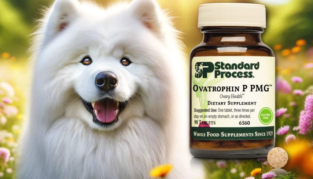 Ovatrophin P PMG®  by Standard Process for Dogs: Glandular Health Insights from Veterinarians