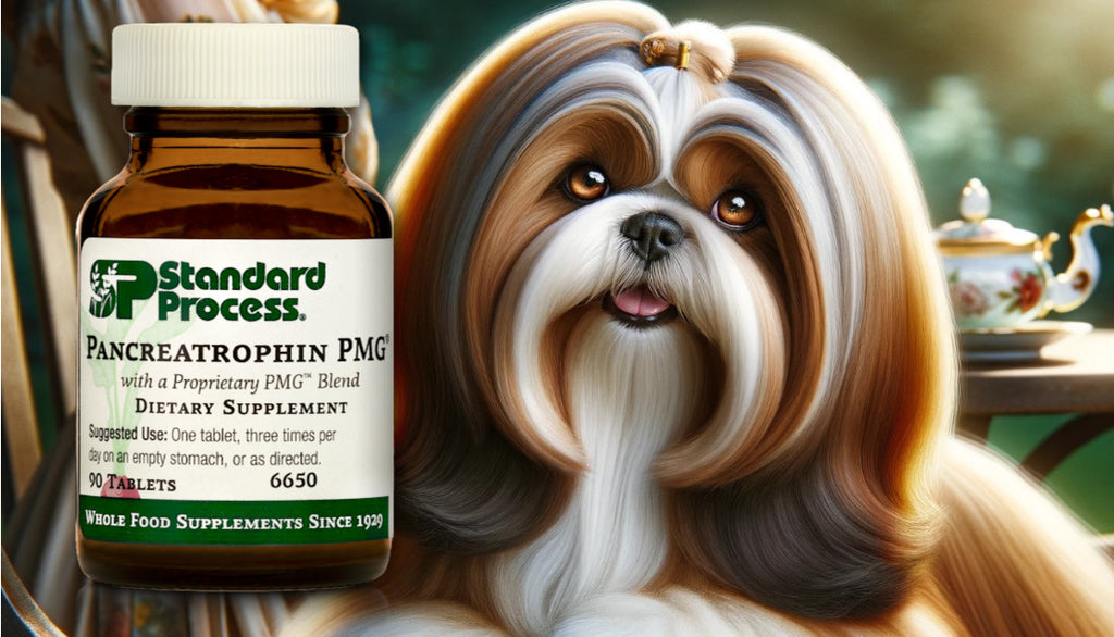 Pancreatrophin PMG® by Standard Process for Dogs: Pancreatic Health, Vet Advice