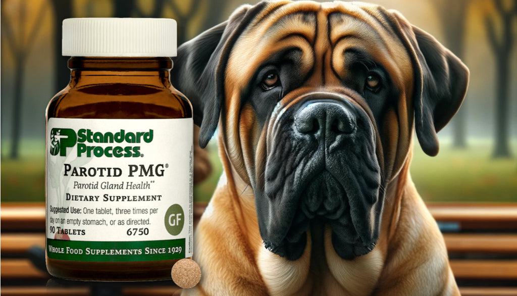 Parotid PMG® by Standard Process for Dogs: Glandular and Digestive Support, Vet-Recommended