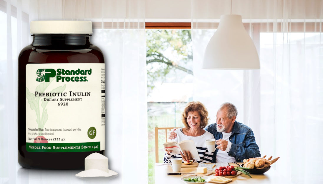Prebiotic Inulin by Standard Process: Benefits, Side Effects and Care ...