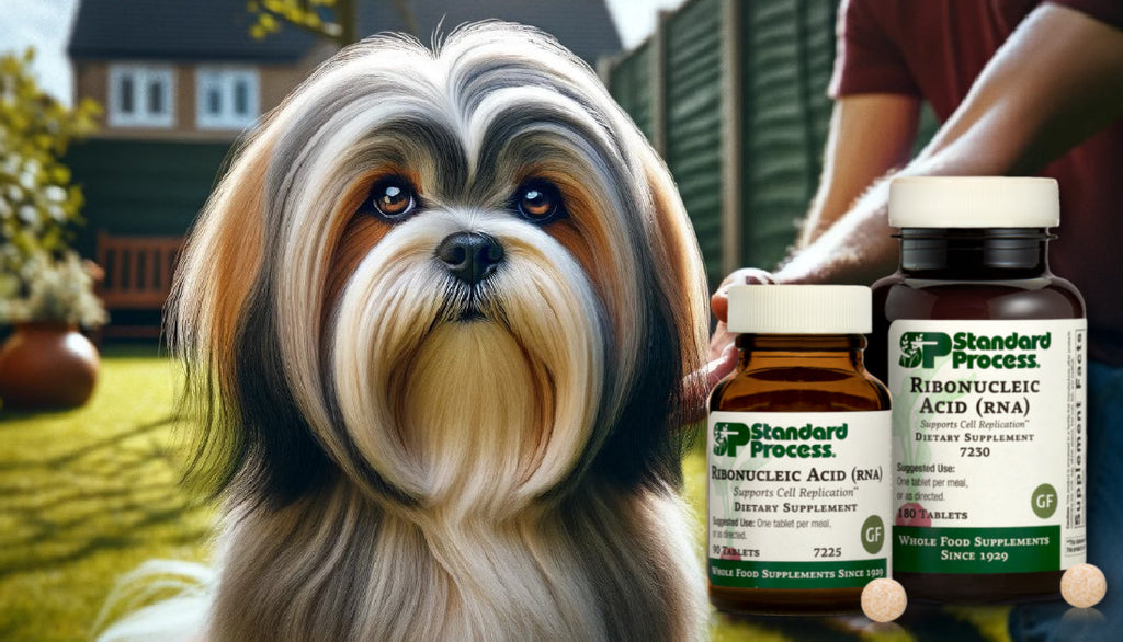 Ribonucleic Acid (RNA) for Dogs by Standard Process: Cellular Health, A Vet’s Approach