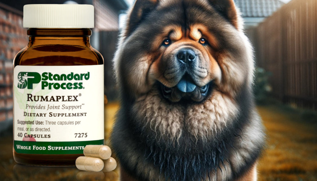 Rumaplex® for Dogs by Standard Process: Joint and Bone Health, Veterinary Advice