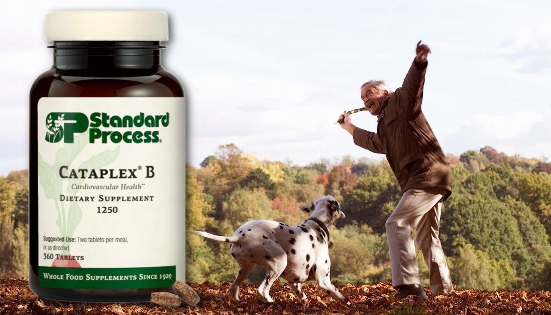 Cataplex® B for Dogs by Standard Process: Nerves, Energy & Heart Care ...