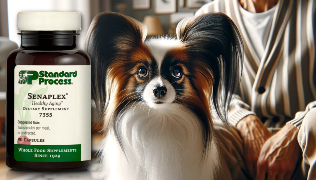 Senaplex® by Standard Process for Dogs: Aging and Cognitive Health, Vet-Endorsed