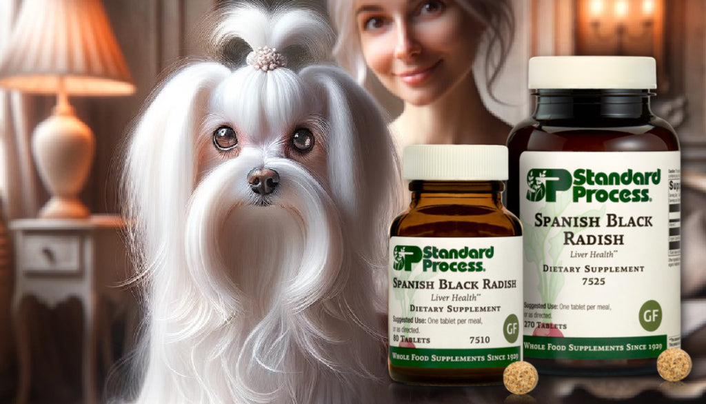 Spanish Black Radish by Standard Process for Dogs: Digestive and Liver Support, A Veterinarian's Perspective
