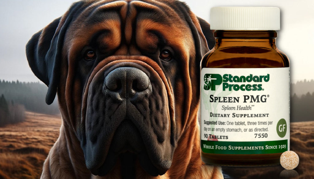 Spleen PMG® by Standard Process for Dogs: Spleen Function and Immune Support, A Vet's Guide