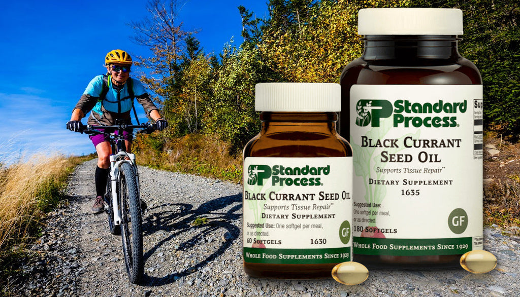 Black Currant Seed Oil by Standard Process