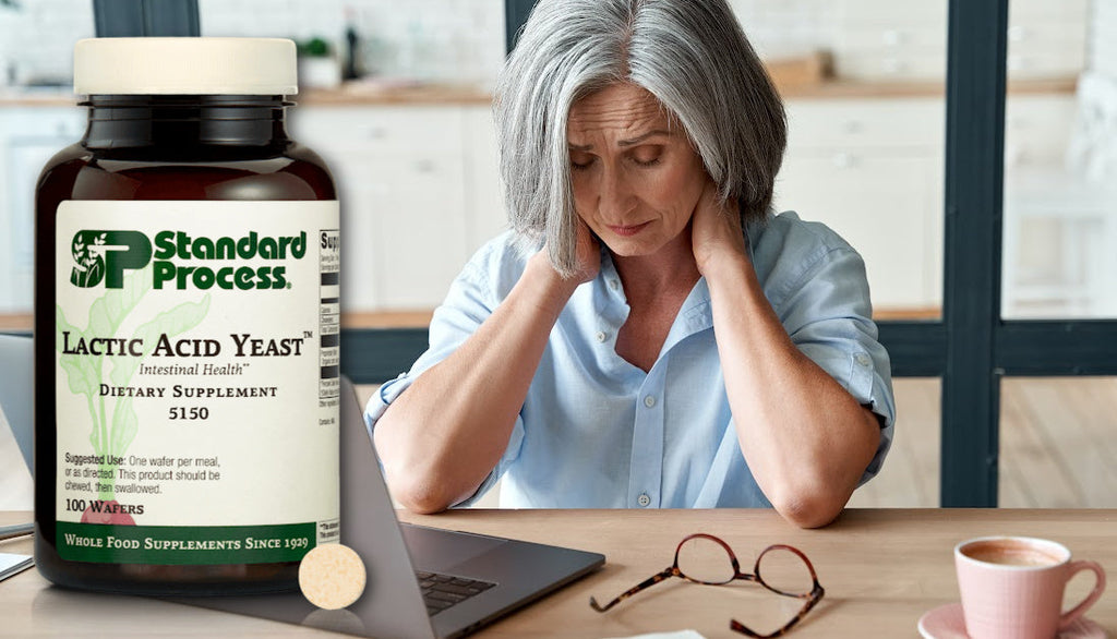 Standard Process Lactic Acid Yeast Journeys Holistic Life