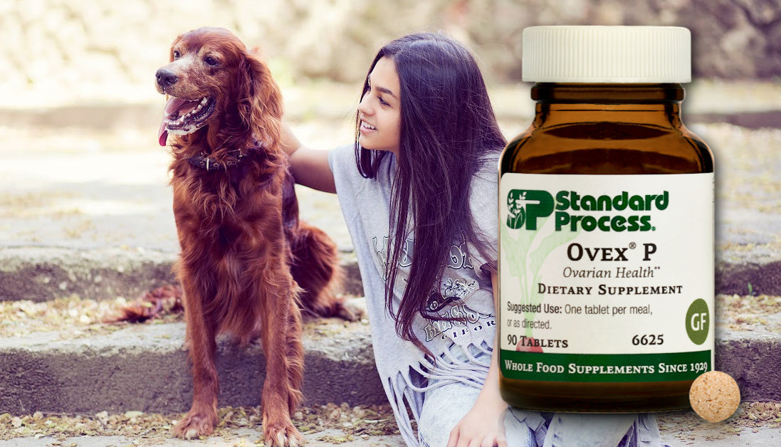 ◉選手支給◉STRONGLIGHT◉オーシンメトリック◉110PCDシマノ◉新品 Ovex® P for Dogs by Standard Process: Hormone Support, Symptoms