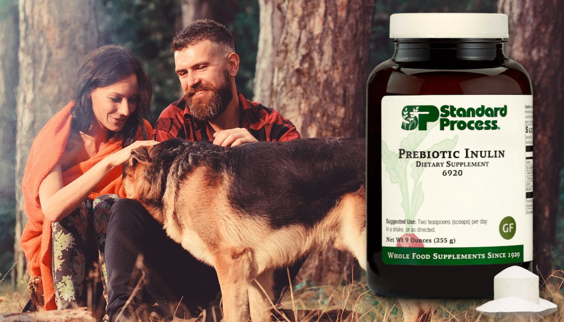Prebiotic Inulin for Dogs by Standard Process: Gut Health, Immunity ...