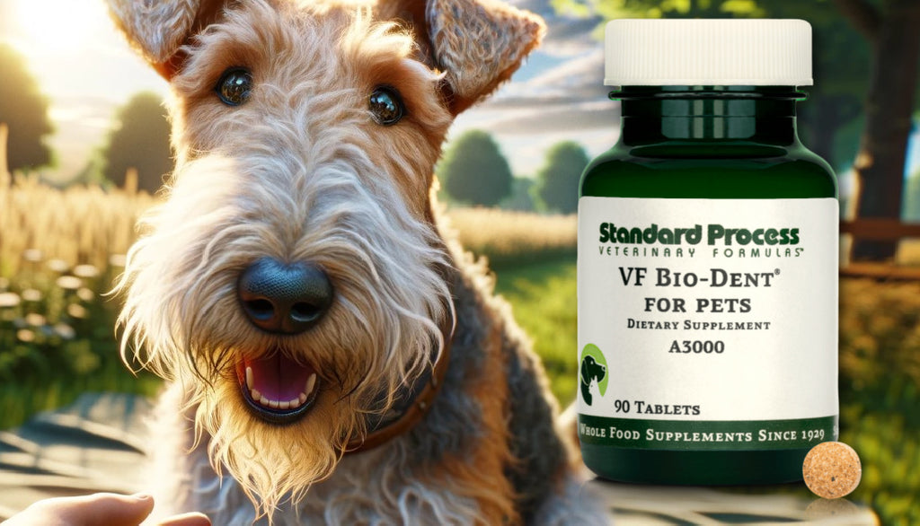 VF Bio-dent® for Dogs by Standard Process: Oral Health, Veterinary-Endorsed