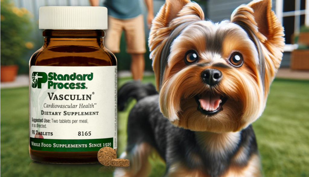 Vasculin® by Standard Process for Dogs: Cardiovascular Health, A Vet's Guide
