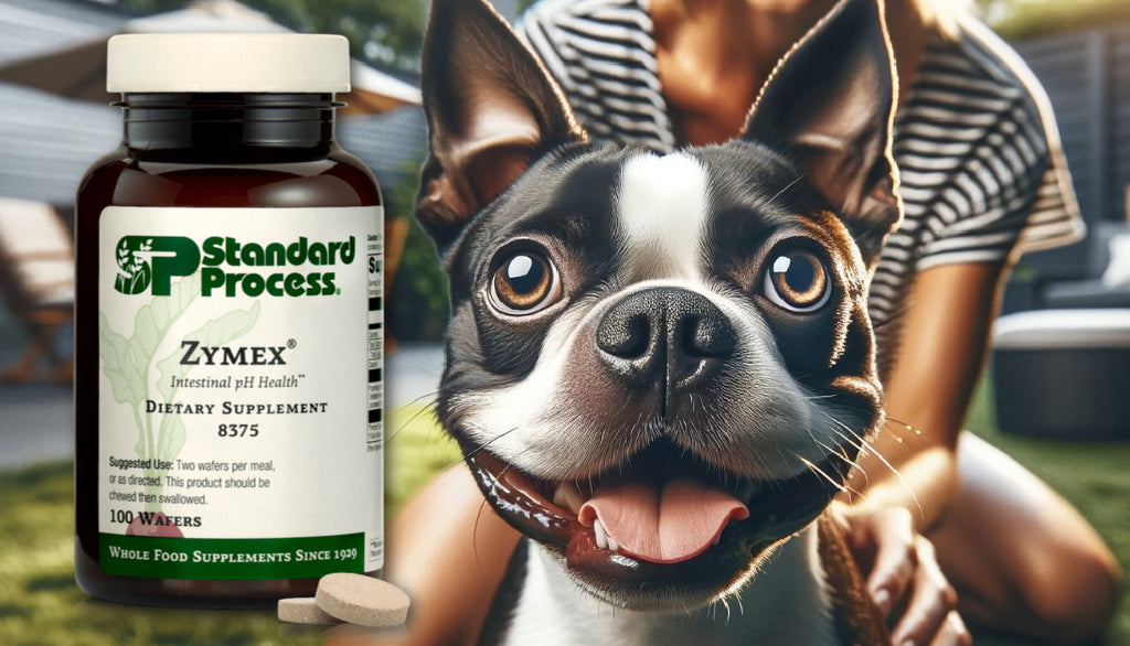 Zymex® Wafers by Standard Process for Dogs: Gastrointestinal Health, Expert Vet Insights