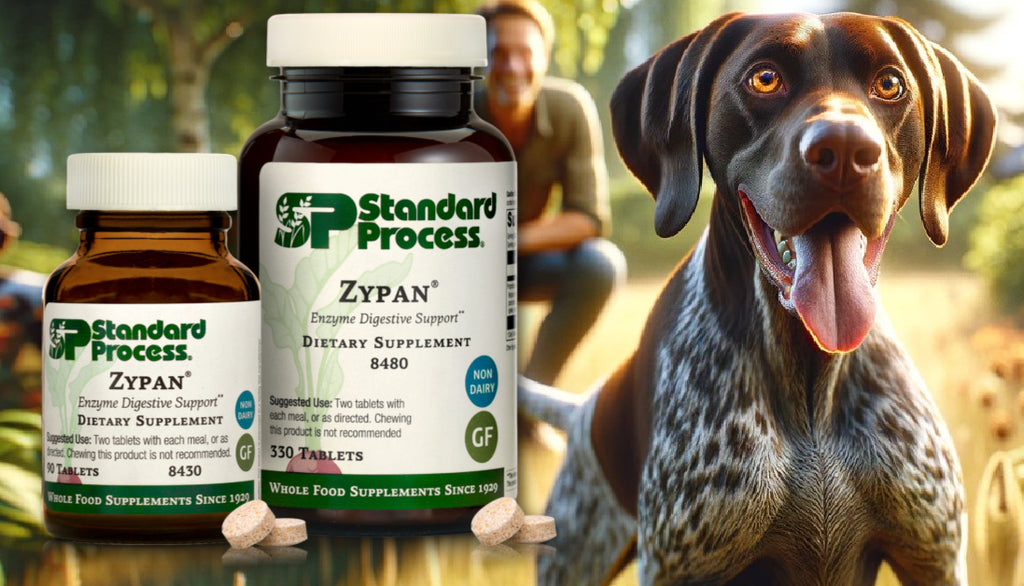 Zypan® by Standard Process for Dogs: Digestive and Gastric Health, Veterinary-Endorsed