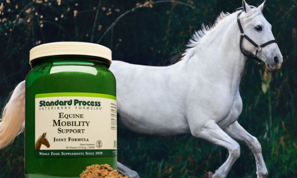 Standard Process Equine Mobility | Horse Muscle & Joint SupplementDr. Candy Akers, Horses, Mobility - Joints - Bones, Standard Process