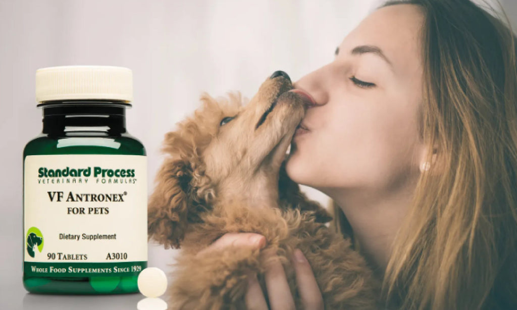 VF Antronex for Pets by Standard ProcessCats, Detox & Purification, Dogs, Dr. Candy Akers, Liver Health, Standard Process