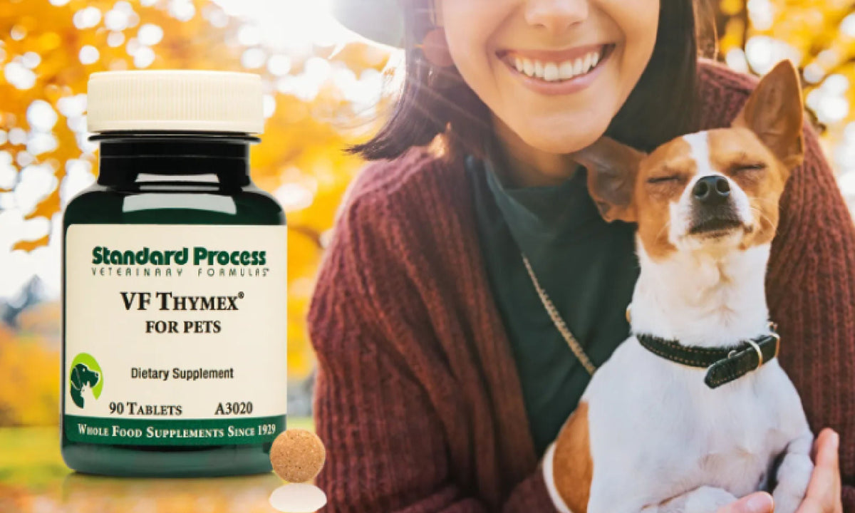 VF Thymex for Cats and Dogs by Standard Process Uses, Benefits, Ingr