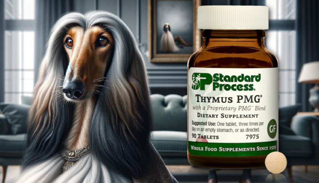 Thymus PMG® by Standard Process for Dogs: Immune System Support, Expert Vet Advice