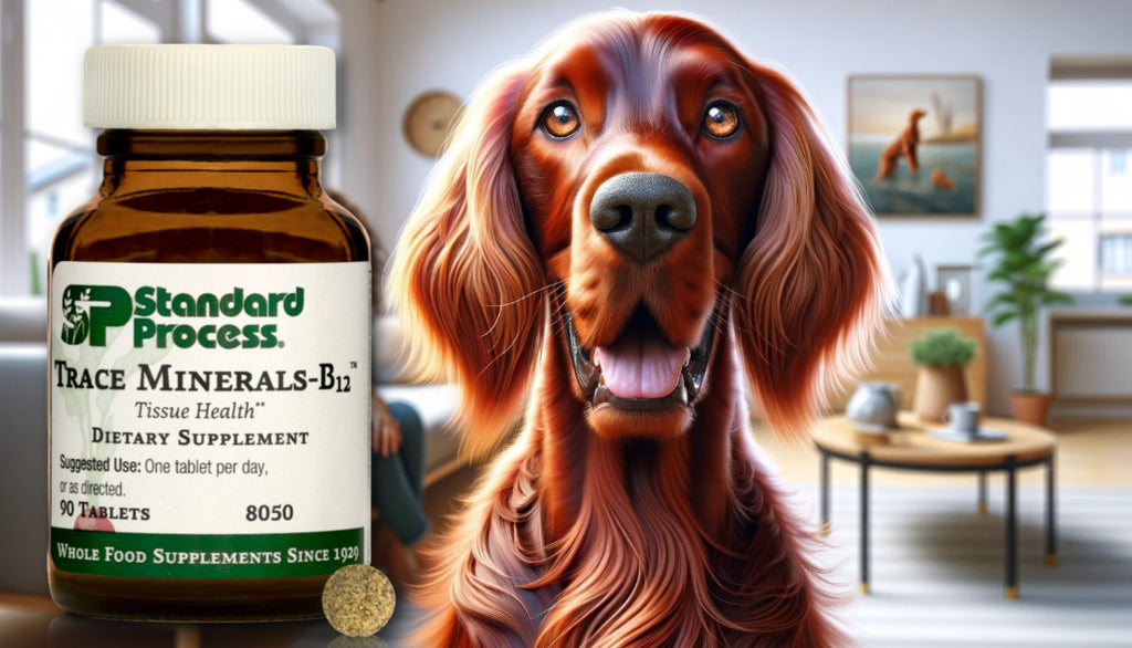 Trace Minerals-B12™ by Standard Process for Dogs: Mineral Balance and Energy, A Vet’s Approach