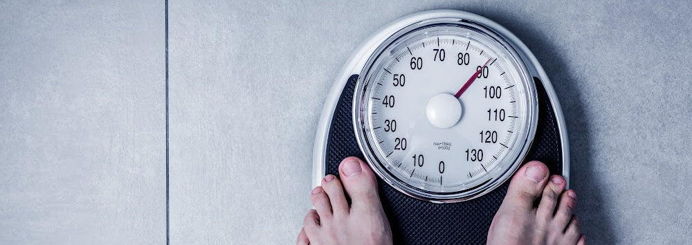 metabolism and weight management standard process