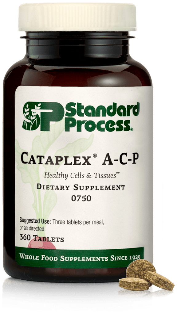 Standard Process Inc Vitamins & Supplements 360 Tablets Cataplex® A-C-P, 360 Tablets