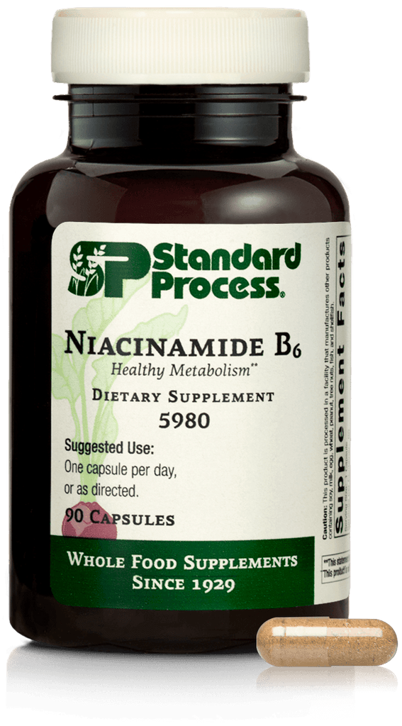 Standard Process Inc Vitamins & Supplements Niacinamide B6, 90 Capsules