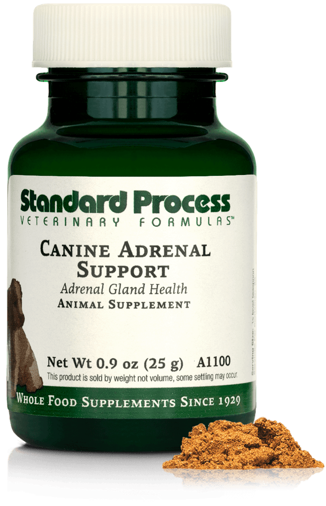 Standard Process Inc 0.9 oz (25 g) Canine Adrenal Support, 0.9 oz (25 g)