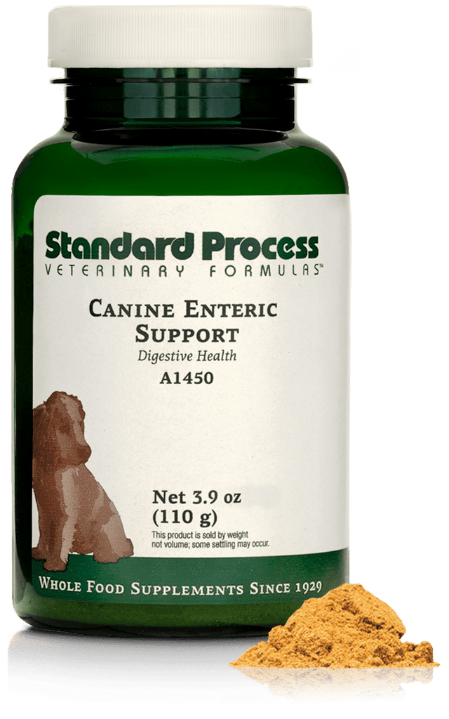 Standard Process Inc 3.9 oz (110 g) Canine Enteric Support, 3.9 oz (110 g)
