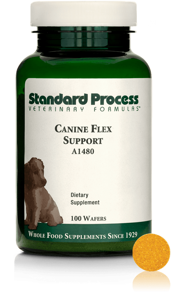 Standard Process Inc Canine Flex Support, 100 Wafers