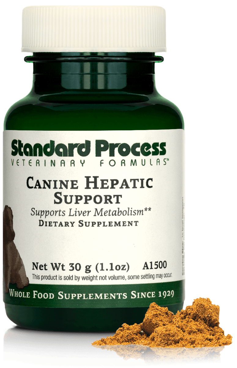 Canine Hepatic Support 1.1 oz 30 g