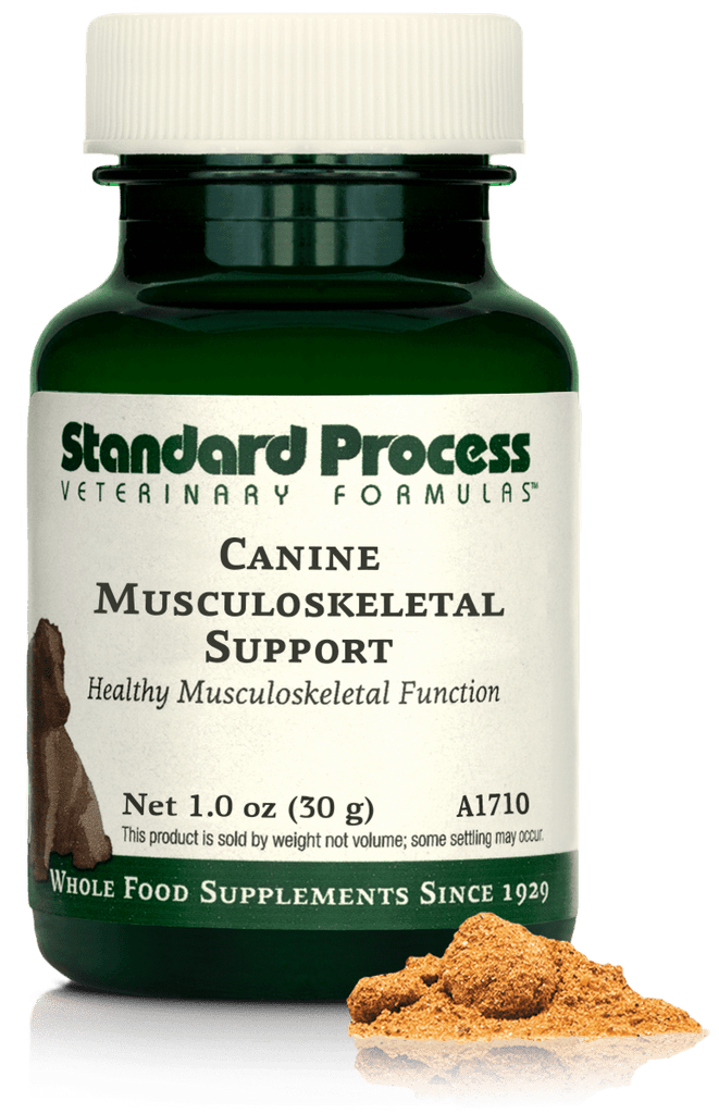 A bottle of Canine Musculoskeletal Support, a powder supplement for dogs’ muscles, ligaments and bone health, next to an image of the powder supplement.