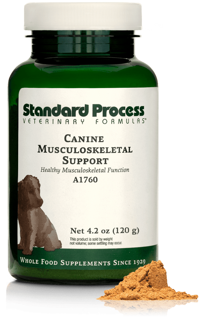 A bottle of Canine Musculoskeletal Support, a powder supplement for dogs’ muscles, ligaments and bone health, next to an image of the powder supplement.