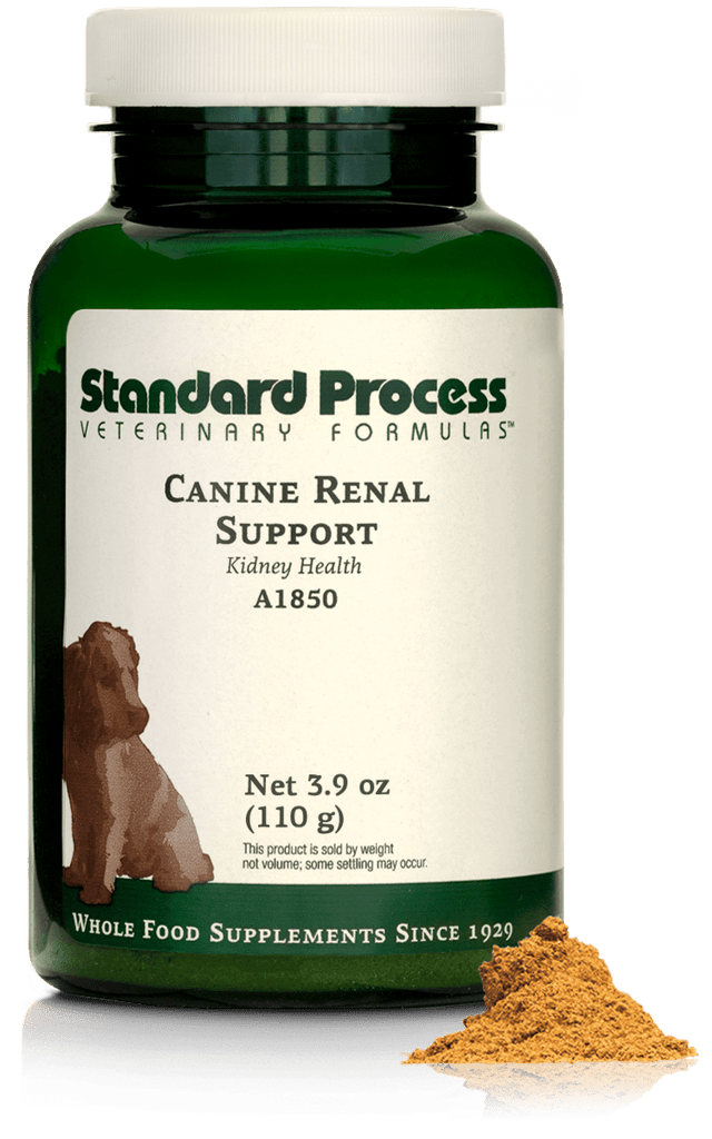 Standard Process Inc 3.9 oz (110 g) Canine Renal Support, 3.9 oz (110 g)