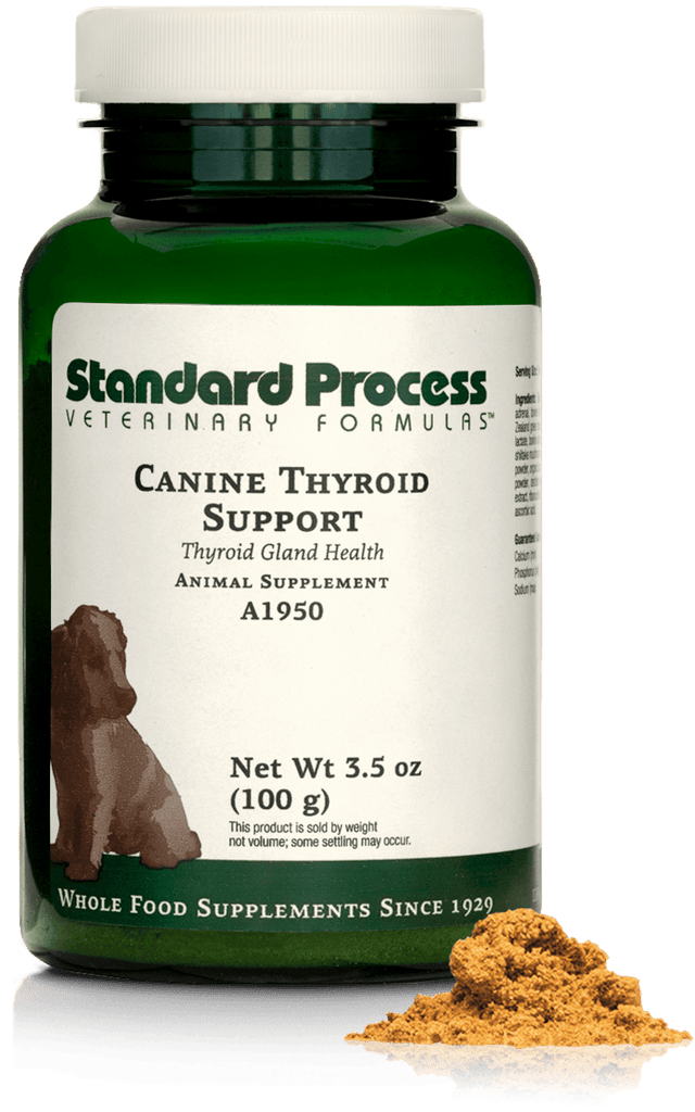 Standard Process Inc 3.5 oz (100 g) Canine Thyroid Support, 3.5 oz (100 g)