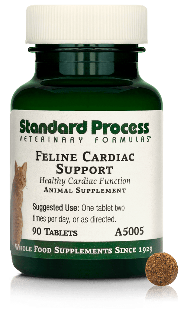 Feline Cardiac Support, 90 Tablets