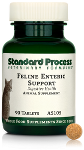 Feline Enteric Support, 90 Tablets