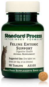 Feline Enteric Support, 90 Tablets