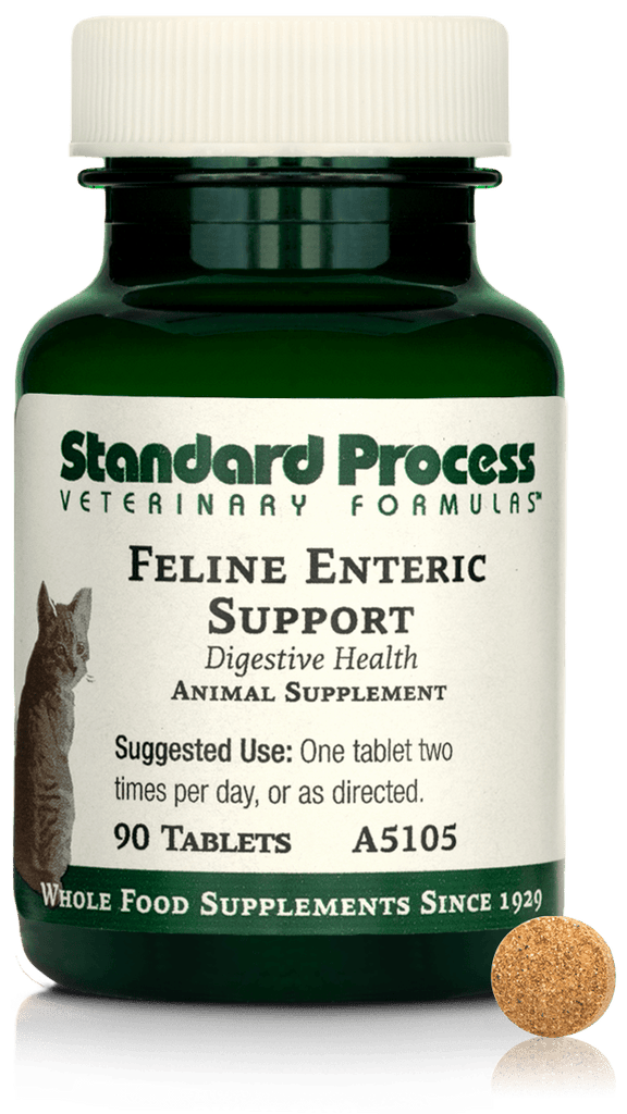 Standard Process Inc 90 Tablets Feline Enteric Support, 90 Tablets