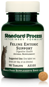 Feline Enteric Support, 90 Tablets