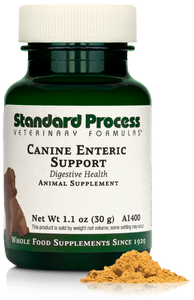 Canine Enteric Support, 1.1 oz (30 g)