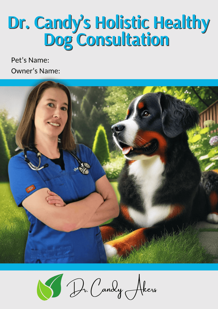 Journeys Holistic Life Dr. Candy's Holistic Healthy Dog Online Consultation