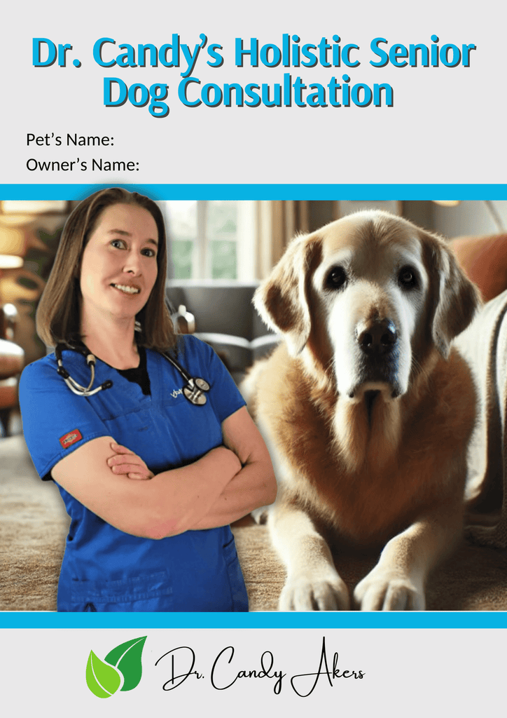 Journeys Holistic Life Dr. Candy's Holistic Senior Dog Online Consultation