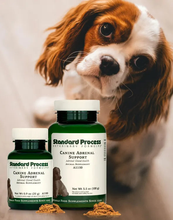 Standard Process Canine Adrenal Support