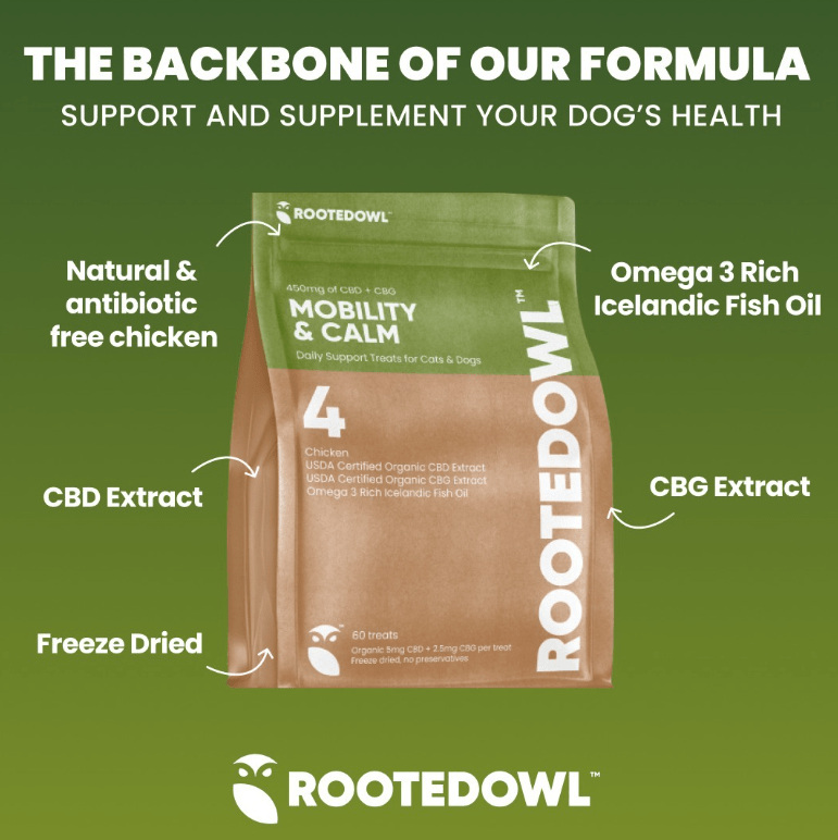 Rooted Owl CBD for Pets CBD Dog Treats For Anxiety (15/60ct) Freeze Dried Organic ((NEW))