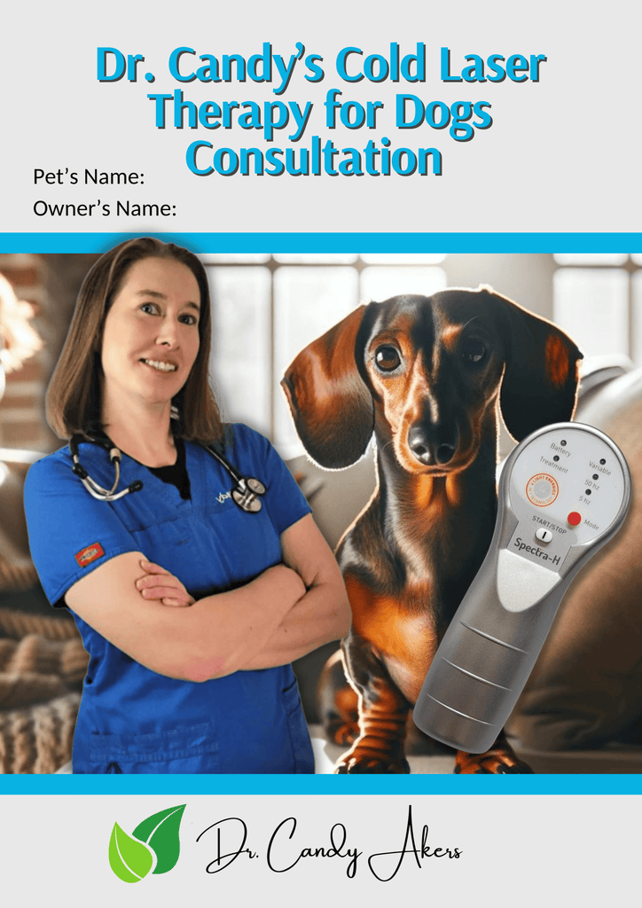 Journeys Holistic Life Dr. Candy's Cold Laser Therapy For Dogs Online Consultation