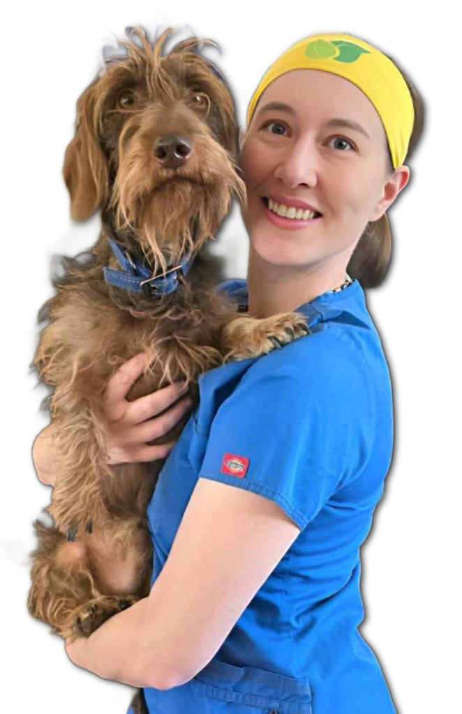 Journeys Holistic Life Dr. Candy's Cold Laser Therapy For Dogs Online Consultation