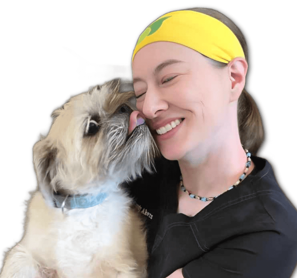 Journeys Holistic Life Dr. Candy's Holistic Senior Dog Online Consultation