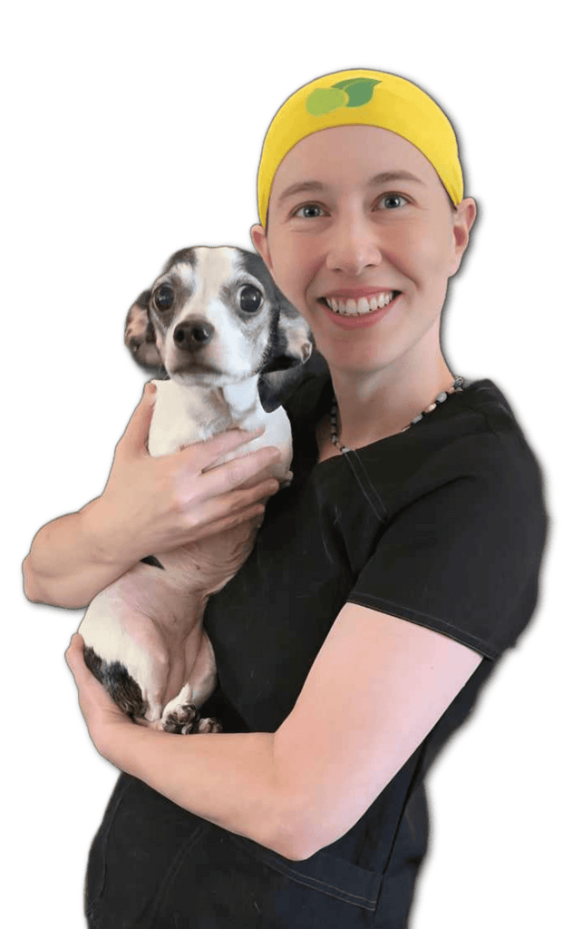 Journeys Holistic Life Dr. Candy's Holistic Senior Dog Online Consultation